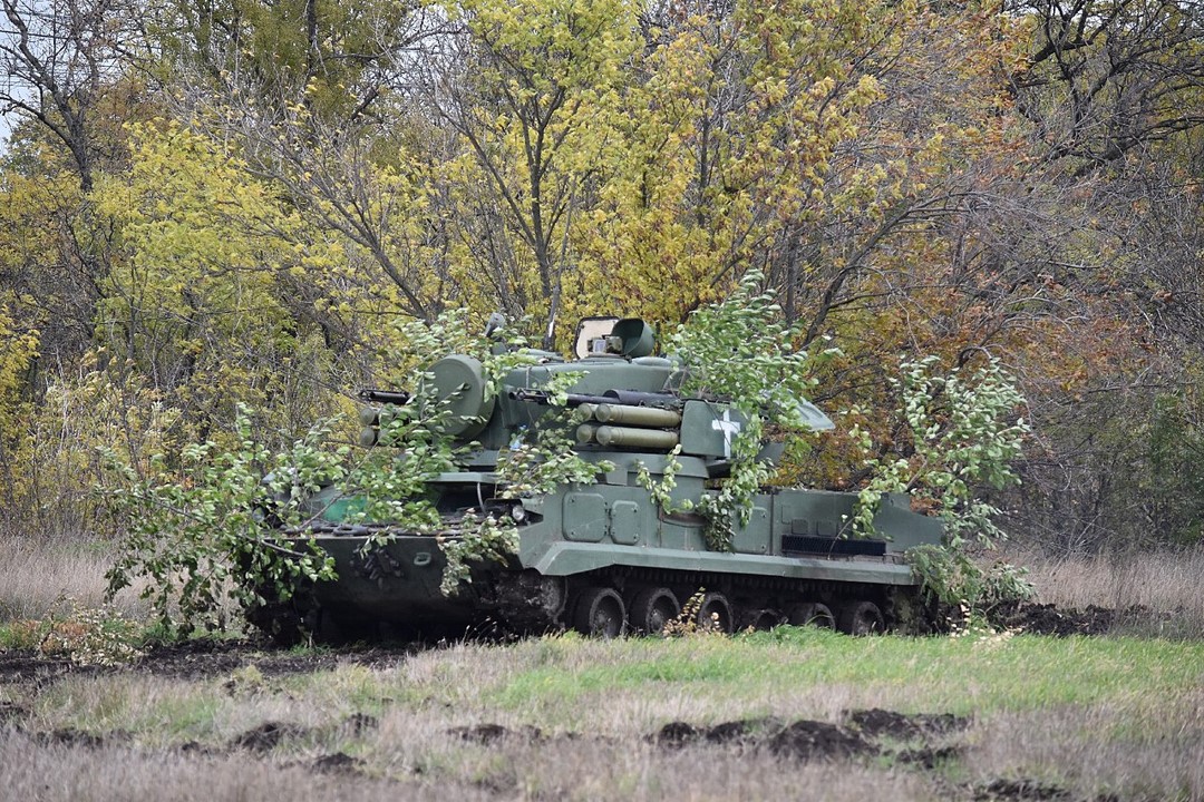 2S6M Tunguska M SA 19 Grison (CC)